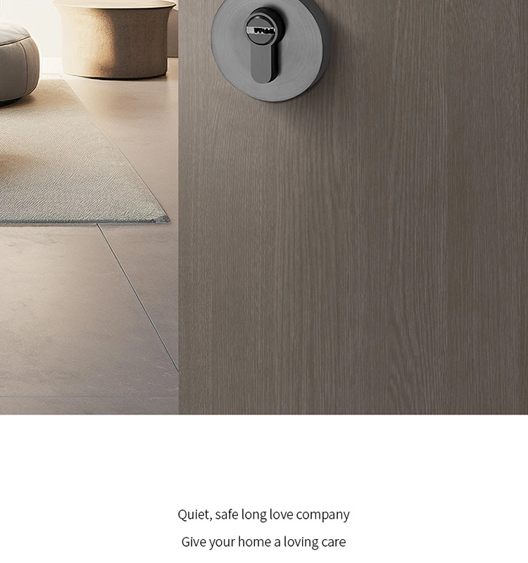 Zinc Alloy Modern Design Lever Door Handle for Interior Doors  American Style Door Handle