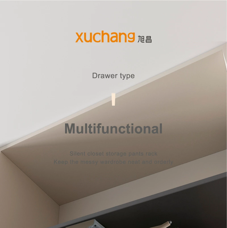 Luxury Wardrobe Wardrobe Accessories Pull Out Trousers Rack for Clothes Wardrobe Organizer