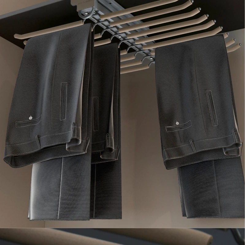 Luxury Wardrobe Wardrobe Accessories Pull Out Trousers Rack for Clothes Wardrobe Organizer
